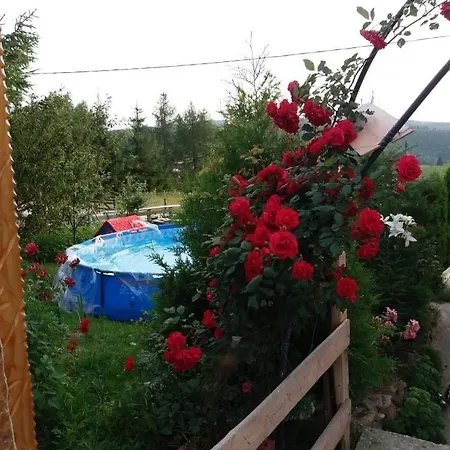 Cabana Yanis Rosu 펜션 *
